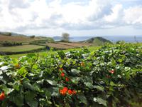 &copy; Annette Zocher (Eberhardt TRAVEL)