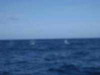 &copy; Annette Zocher (Eberhardt TRAVEL)