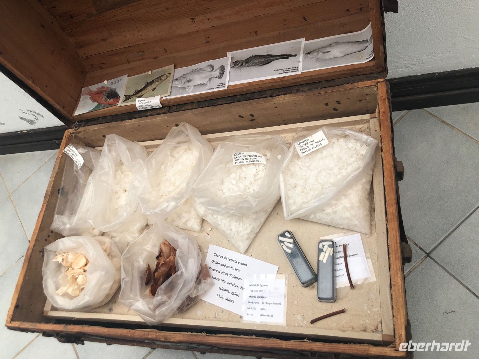 Azoren - Material für Fischschuppenbilder &ndash; &copy; Sabine Letzybyll (Eberhardt TRAVEL)