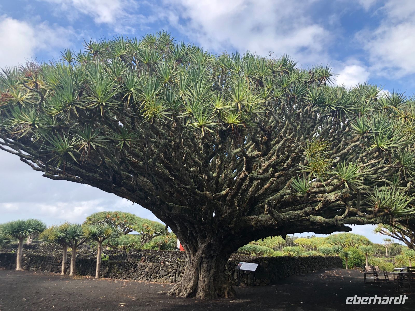 Pico &ndash; &copy; Sabine Letzybyll (Eberhardt TRAVEL)