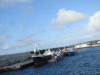 Azoren Pico Hafen &ndash; &copy; Sabine Letzybyll (Eberhardt TRAVEL)