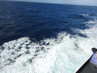 Azoren Fährüberfahrt Pico - Faial &ndash; &copy; Sabine Letzybyll (Eberhardt TRAVEL)
