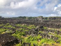 Pico &ndash; &copy; Sabine Letzybyll (Eberhardt TRAVEL)