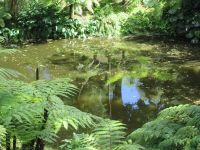 Terra Nostra &ndash; &copy; Heike Heinen (Eberhardt TRAVEL)