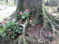 Terra Nostra &ndash; &copy; Heike Heinen (Eberhardt TRAVEL)