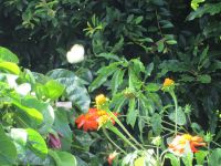Terra Nostra &ndash; &copy; Heike Heinen (Eberhardt TRAVEL)