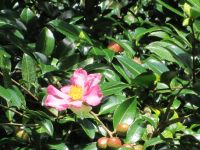 Terra Nostra &ndash; &copy; Heike Heinen (Eberhardt TRAVEL)