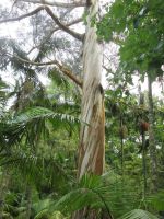 Terra Nostra &ndash; &copy; Heike Heinen (Eberhardt TRAVEL)