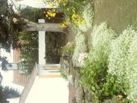 Terceira: Weingut &ndash; &copy; Heike Heinen (Eberhardt TRAVEL)