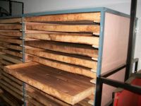 Teeplantage &ndash; &copy; Steffen Mucke (Eberhardt TRAVEL)