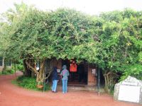 Ananasfarm &ndash; &copy; Steffen Mucke (Eberhardt TRAVEL)