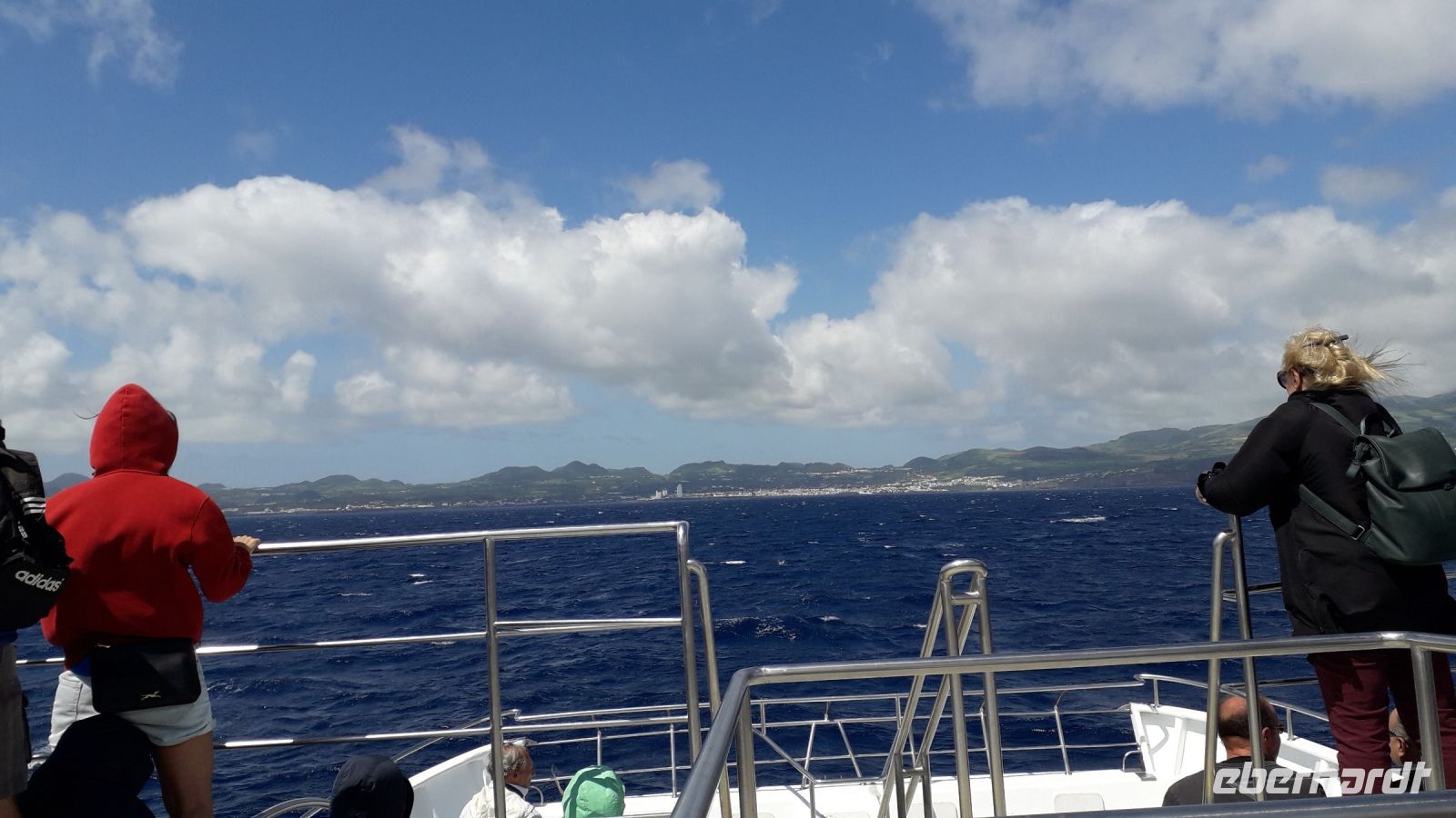 Walbeobachtungsreise Sao Miguel &ndash; &copy; Julia Kies (Eberhardt TRAVEL)