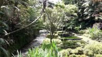 Der Park Terra Nostra &ndash; &copy; Julia Kies (Eberhardt TRAVEL)