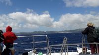 Walbeobachtungsreise Sao Miguel &ndash; &copy; Julia Kies (Eberhardt TRAVEL)