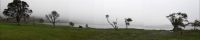Die Seen Lagoa Azul und Lagoa Verde im Nebel