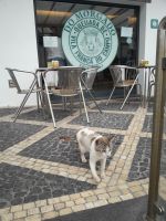 Sao Miguel - Cafe Vila Franca &ndash; &copy; Wolfgang Balling (Eberhardt TRAVEL)