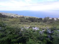 Faial - Nordküste &ndash; &copy; Wolfgang Balling (Eberhardt TRAVEL)