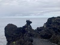 Pico