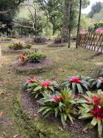 Parque Terra Nostra (3) &ndash; &copy; Thomas Krupp (Eberhardt TRAVEL)