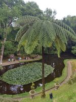 Pflanzenpracht &ndash; &copy; Annette Profft (Eberhardt TRAVEL)