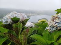 Blütenpracht &ndash; &copy; Annette Profft (Eberhardt TRAVEL)