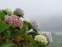 alle Farben der Natur &ndash; &copy; Annette Profft (Eberhardt TRAVEL)