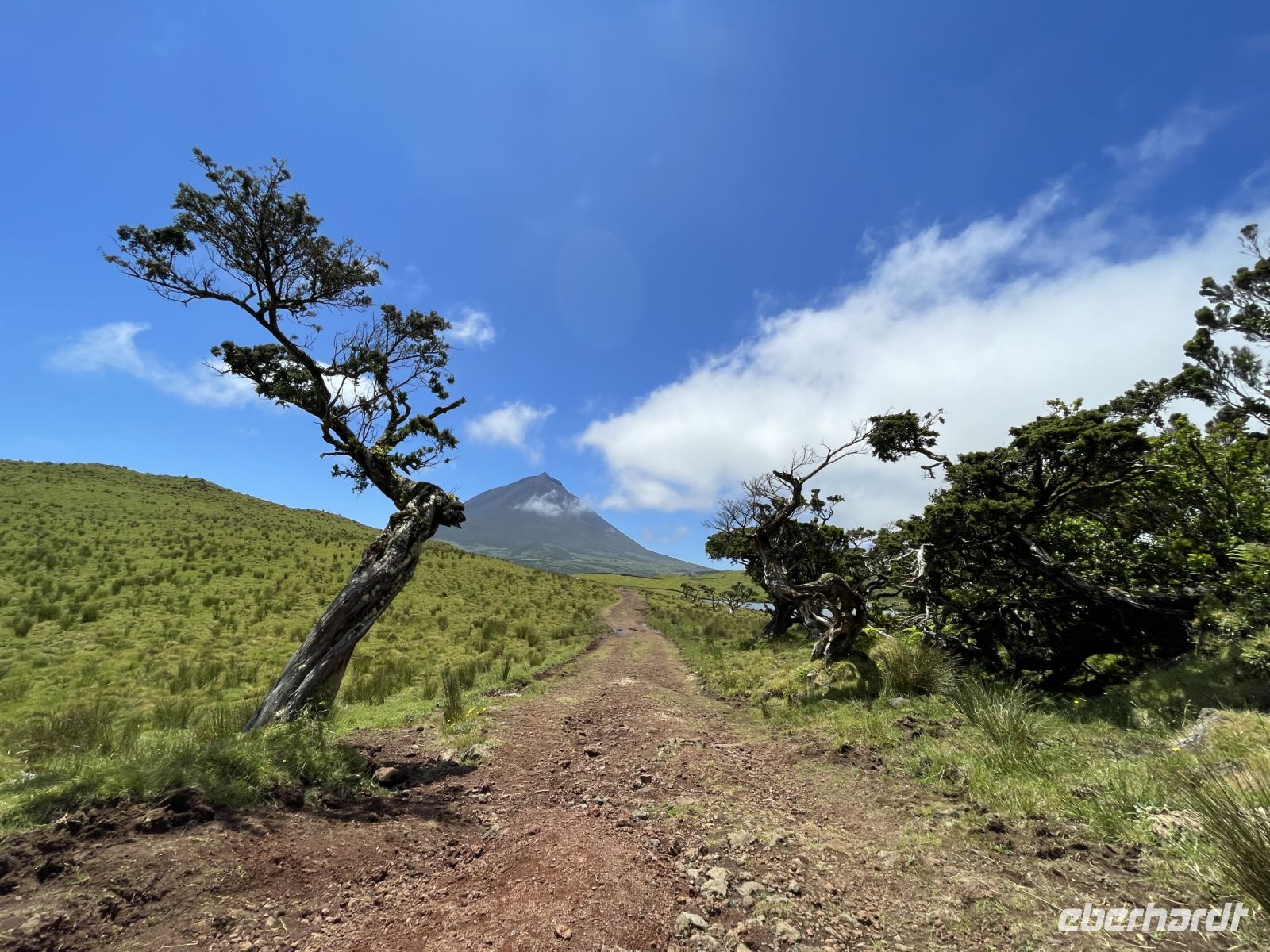 Inselrundfahrt Pico &ndash; &copy; Jacob Spangenberg (Eberhardt TRAVEL)