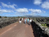 Spaziergang durch die Weinfelder von Pico &ndash; &copy; Jacob Spangenberg (Eberhardt TRAVEL)