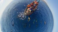 Whale Watching Tour &ndash; &copy; Jacob Spangenberg (Eberhardt TRAVEL)