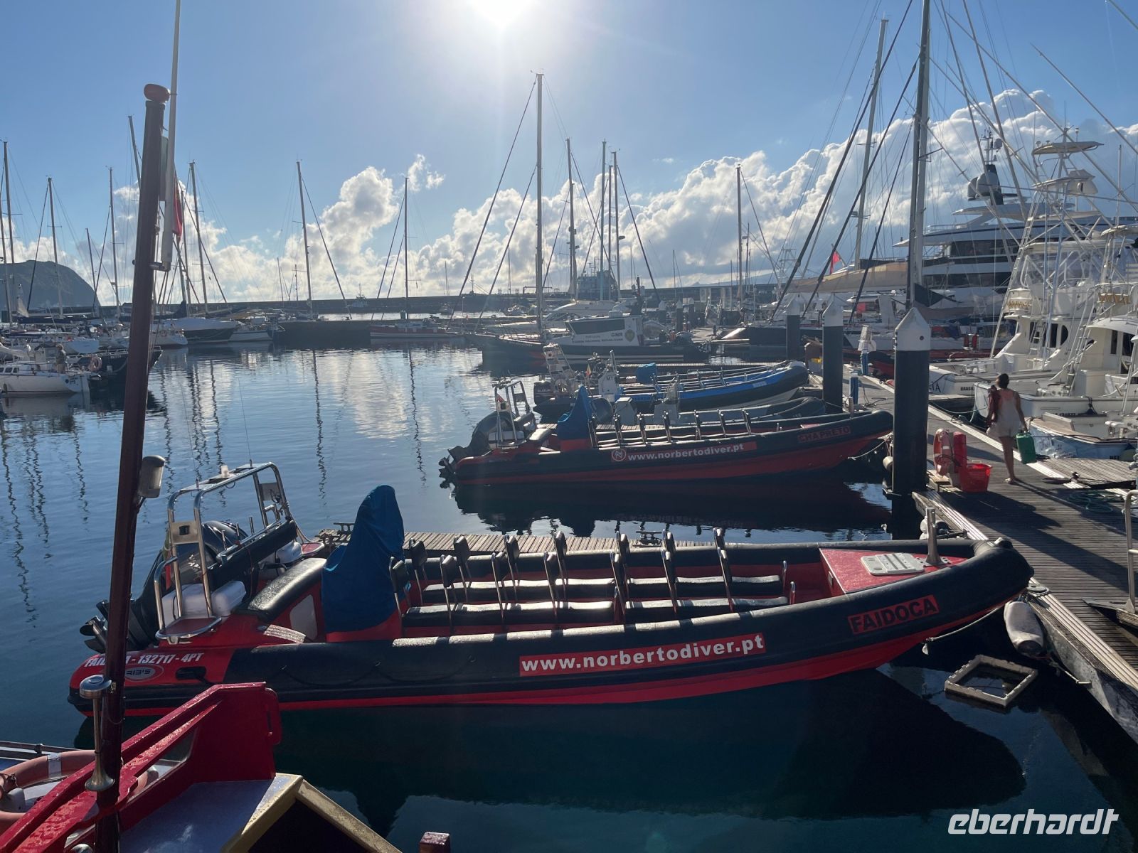 Boot, Walbeobachtung, Horta, Faial, Azoren, Portugal &ndash; &copy; Maria Feibig (Eberhardt TRAVEL)