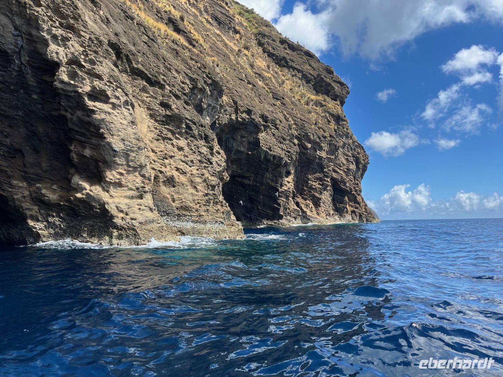 Walbeobachtung, Horta, Faial, Azoren, Portugal &ndash; &copy; Maria Feibig (Eberhardt TRAVEL)