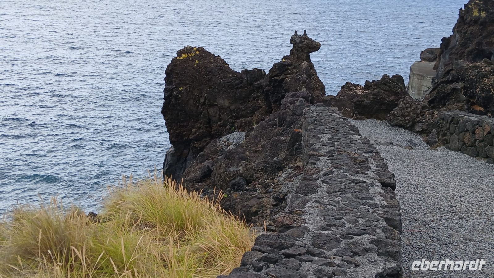 Cachorro in Pico &ndash; &copy; Julia Kies (Eberhardt TRAVEL)