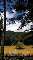Der Park Terra Nostra &ndash; &copy; Julia Kies (Eberhardt TRAVEL)