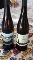 Weinprobe auf Terceira &ndash; &copy; Julia Kies (Eberhardt TRAVEL)