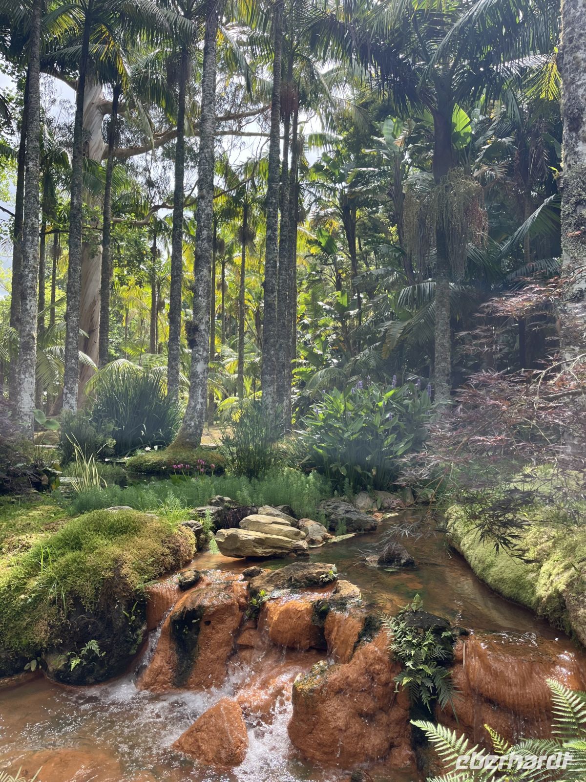 Park Terra Nostra &ndash; &copy; Valentin Meyer-Plath (Eberhardt TRAVEL)