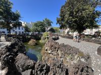 Stadtpark in Horta &ndash; &copy; Valentin Meyer-Plath (Eberhardt TRAVEL)
