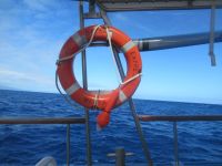 Rettungsring am Schiff -Walbeobachtung -  Horta - Faial, Azoren &ndash; &copy; Marieta Beck (Eberhardt TRAVEL)