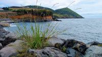 Abschied von Terceira  &ndash; &copy; Birgit Kirchner (Eberhardt TRAVEL)