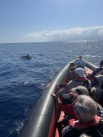 und ziemlich nahe &ndash; &copy; Birgit Kirchner (Eberhardt TRAVEL)