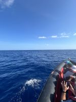 wo ist nur der Wal? &ndash; &copy; Birgit Kirchner (Eberhardt TRAVEL)