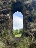 mystisch... &ndash; &copy; Daniela Paulan (Eberhardt TRAVEL)