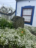 Weinmuseum &ndash; &copy; Daniela Paulan (Eberhardt TRAVEL)