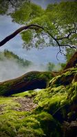 São Miguel, Povoação, Azores, Portugal &ndash; &copy; Manuel González Urrutia (Eberhardt TRAVEL)