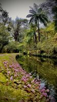 Parque Terra Nostra, São Miguel, Povoação, Azores, Portugal