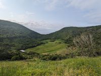 217. Monte Basil, Inselrundfahrt Terceira, Azoren &ndash; &copy; Teresa Rumpel (Eberhardt TRAVEL)
