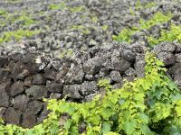 Azoren - Pico Island &ndash; &copy; Andreas Schmidt (Eberhardt TRAVEL)
