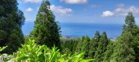 Azoren Flora - und das Meer &ndash; &copy; Georg Berger (Eberhardt TRAVEL)