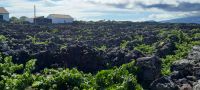 Pico Weinfelder &ndash; &copy; Georg Berger (Eberhardt TRAVEL)