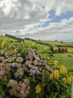 Blütenpracht &ndash; &copy; Britta Martini-Miles (Eberhardt TRAVEL)