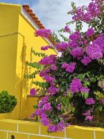Farbenpracht &ndash; &copy; Britta Martini-Miles (Eberhardt TRAVEL)
